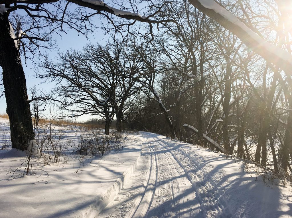 Cross country ski trail in the Arb starts to melt in the bright sun of March.