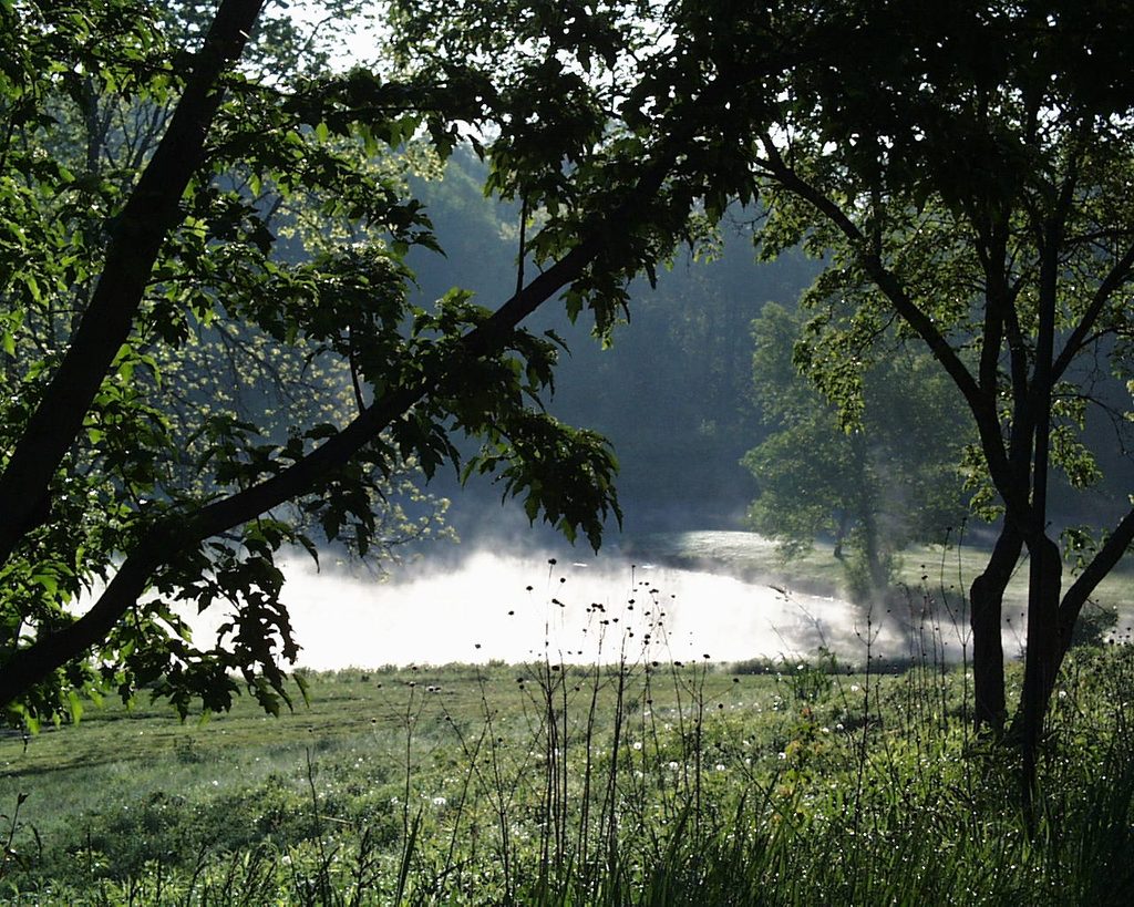 Lyman Lakes in the Fog