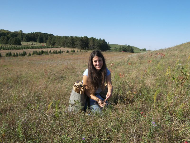 Mira Alecci '11 collecting rose hips.