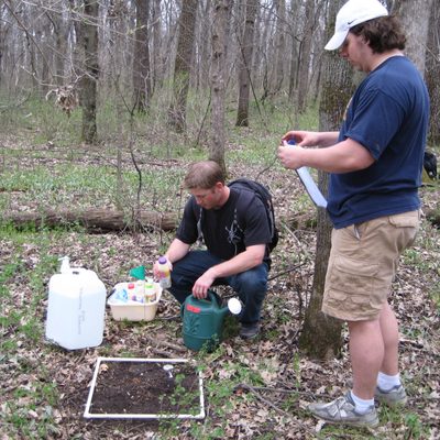Population Ecology "worm" lab