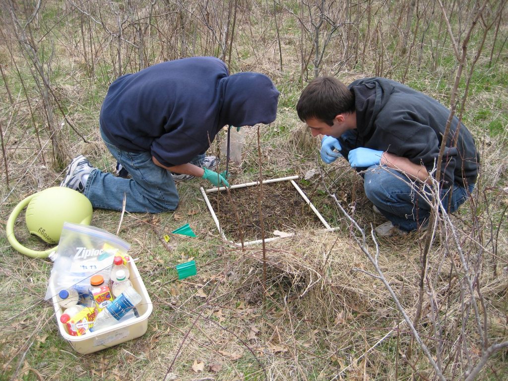 Biology students conducting an outdoor Earthworm Lab