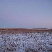 Winter on the Lower Arb prairie restorations.