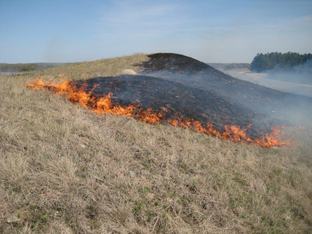 Prescribed burn at McKnight Prairie