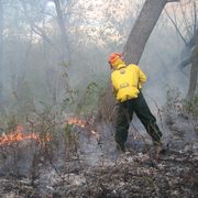 Savanna burn in the Arboretum