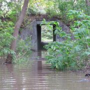 The old cattle tunnel into the arb flooded after the September rainstorms.