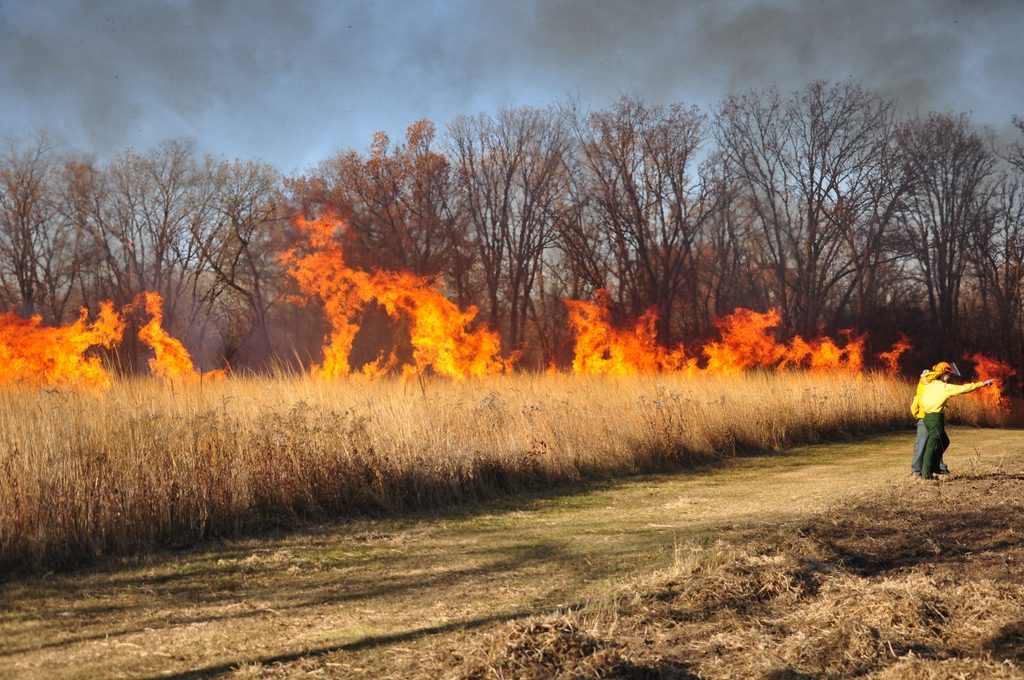 The Arb Crew does a prescribed burn in Fall 2011.