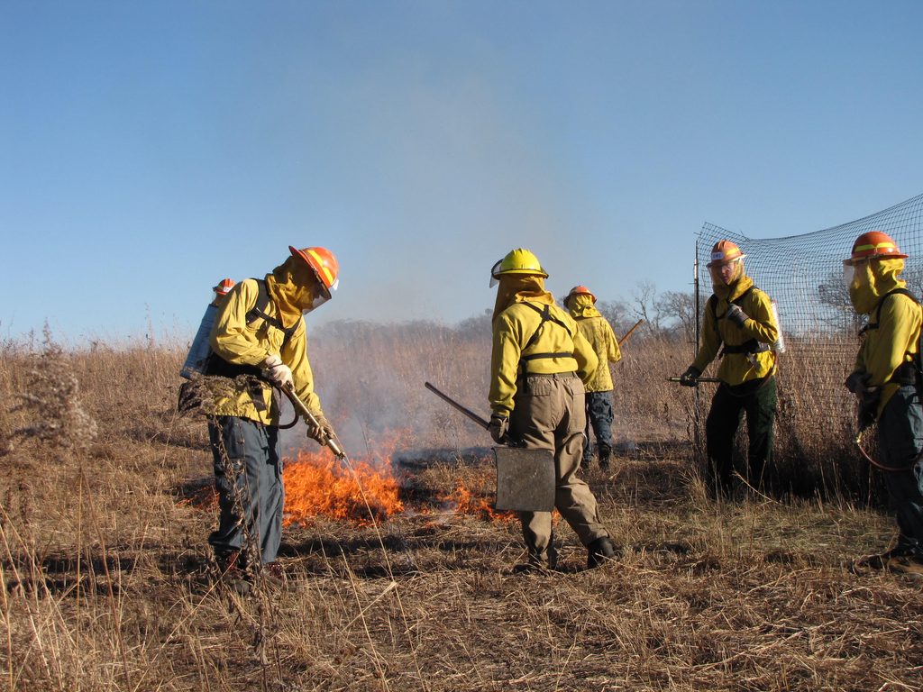 Workers burning the lower Arb in spring