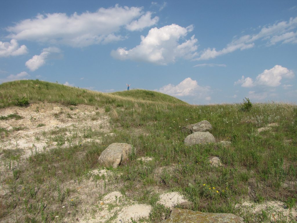 One of the hills of McKnight prairie in summer.
