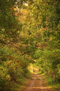 Student walking along a grassy trail
