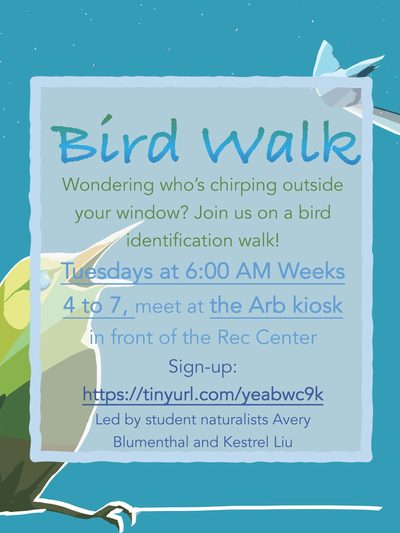 Bird walk informational poster