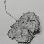 Sketchbook 1 by Claire Jensen '18