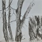 Drawing of a tree by Emily Luna '23