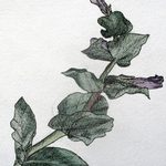 Penstomen by Erika Mackin '12