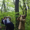 Spring Bird Count