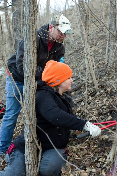 Volunteers cutting down invasive lilac