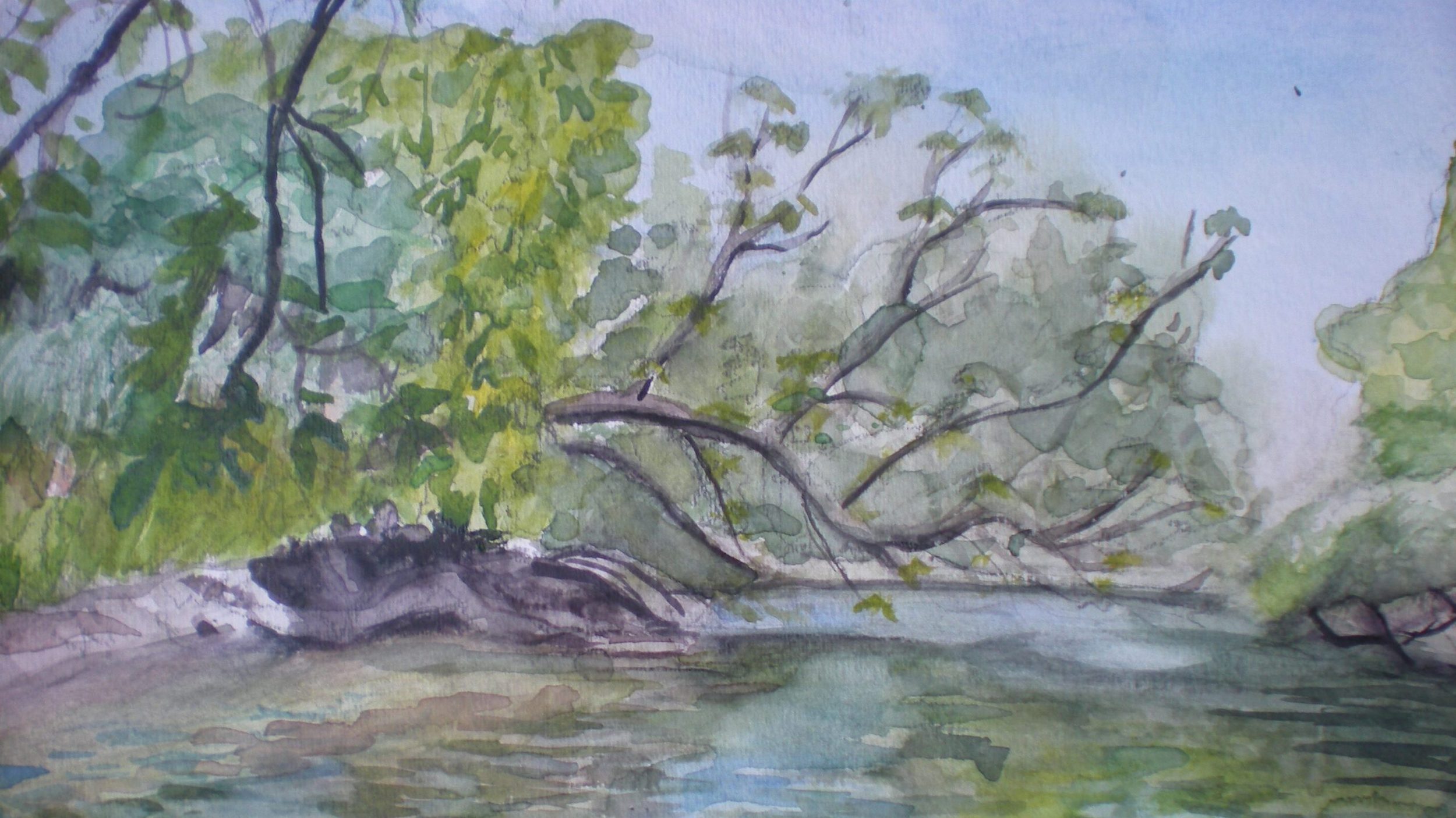 Watercolor for Field Drawing class by Kailyn Kent '11