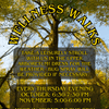 Arboretum - Wellness Walk with a Student Naturalist