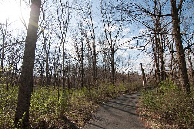 Path in the Arb with new green growth