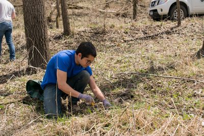 Spring arb crew pulling garlic mustard