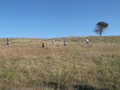 Seed collecting at McKnight prairie