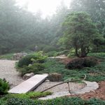 Japanese Garden in the Fog