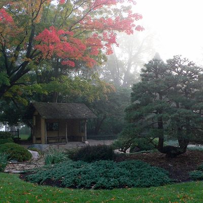 Japanese Garden in the Fog