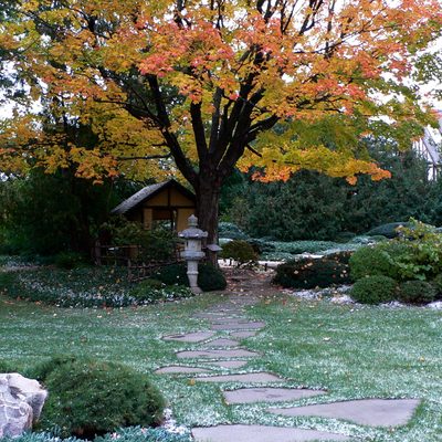 First Snowfall in the Japanese Garden