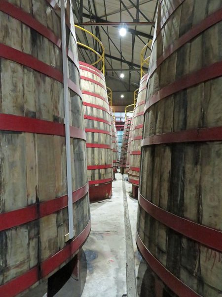 Pisco Barrels