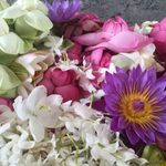 Flower Offerings at Anuradhapura