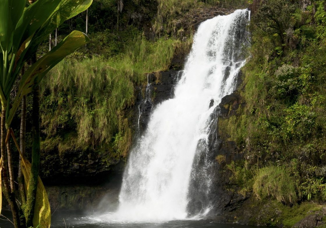 Kulaniapia Falls, Big island of Hawaiʻi, Hawaii.