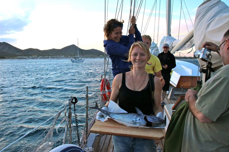 Arthur's Skipjack