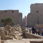 The lions of Karnak