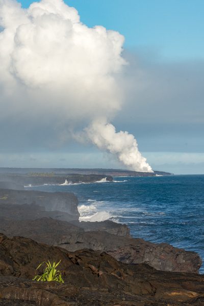 Carleton in Hawaii