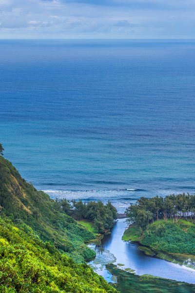 Carleton in Hawaii