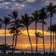 Carleton in Hawaii