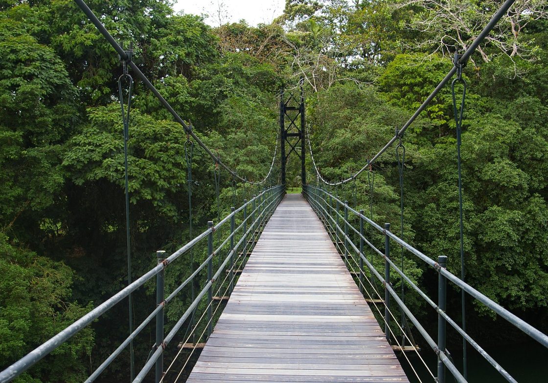 Monteverde Biological Reserve suspension bridge.