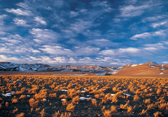 Atacama Valley