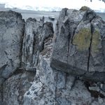 Lichen and SH Minerva on Chinstrap Penguin Ridge