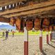 shark meat hangs to dry in Iceland