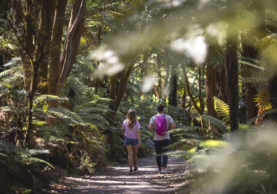 Rotorua, walking trails