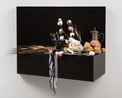 A black shelf with dried wheat, cotton, flowers and various agricultural offcuts. A skull and metal bowl with surgical clamps are in the center. Black braids of hair and white gauze drape over the side.