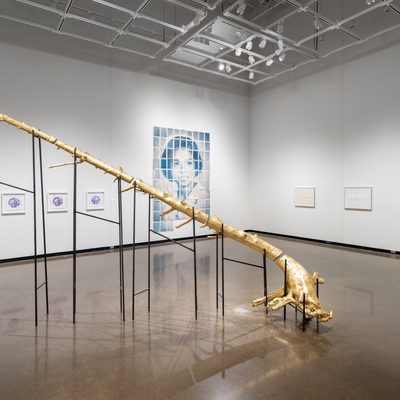 Installation image of the faculty show. Jade Hoyer's large installation of prints that come together to create an image of her mother as a nurse sits in the center of the image. Stephen's sculpture, a gold covered segmented tree on stilts, is to the left and in front of Jade's work. To the right there are three prints by Eleanor Jensen framed in wood. These prints are too far away to see the details.