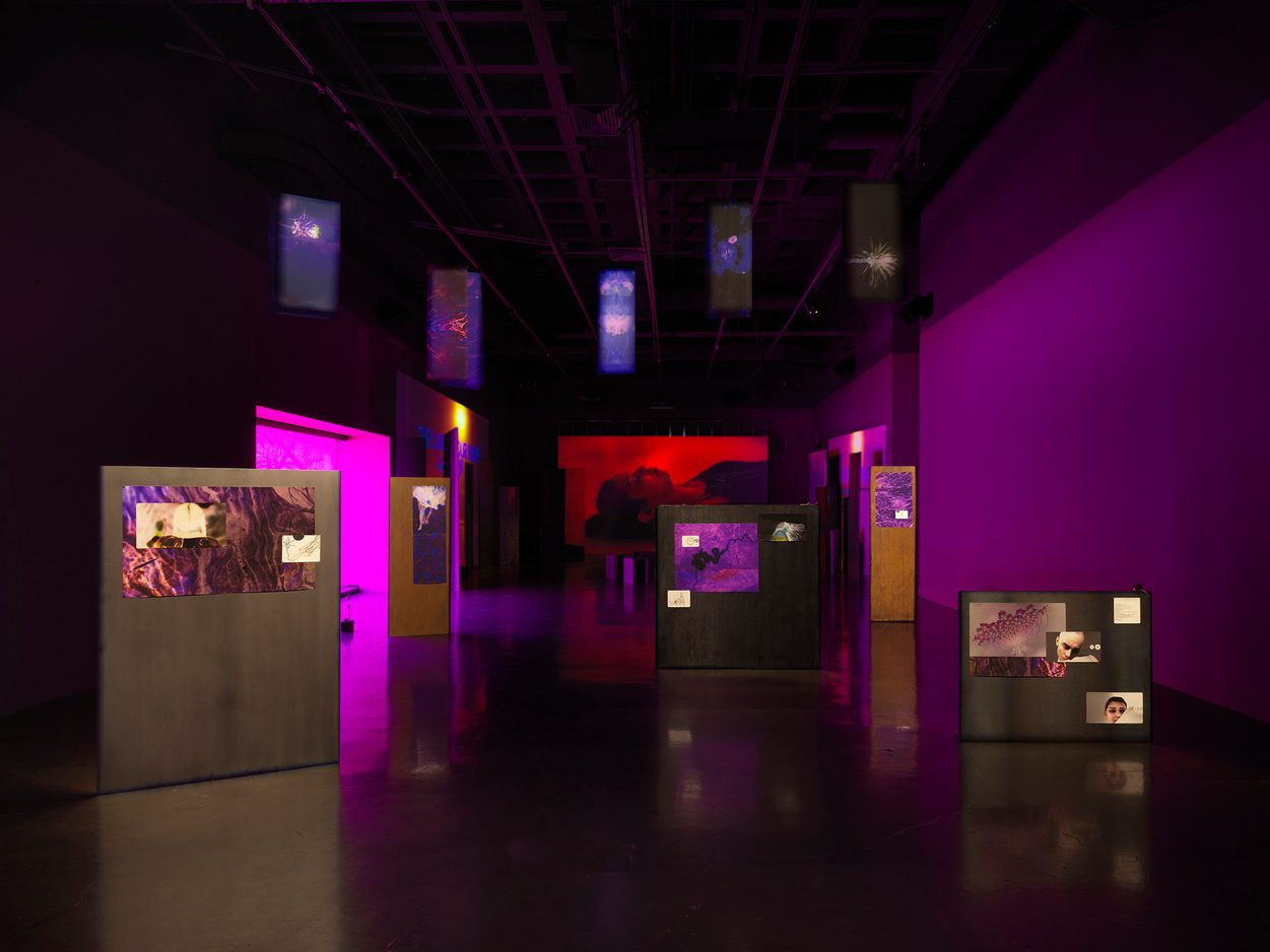 A dark room with purple walls is occupied by video projections and illuminated artworks on the floor and ceiling, creating an effect like overlapping windows on a computer screen. A purple glow comes from a tinted window on the left side. Freestanding panels are scattered throughout the room, each with colorful abstractions and other images mounted to them. Blue banners with abstracted plant designs hang from the ceiling and a red video projection, showing a person lying on their back, glows on the far wall.