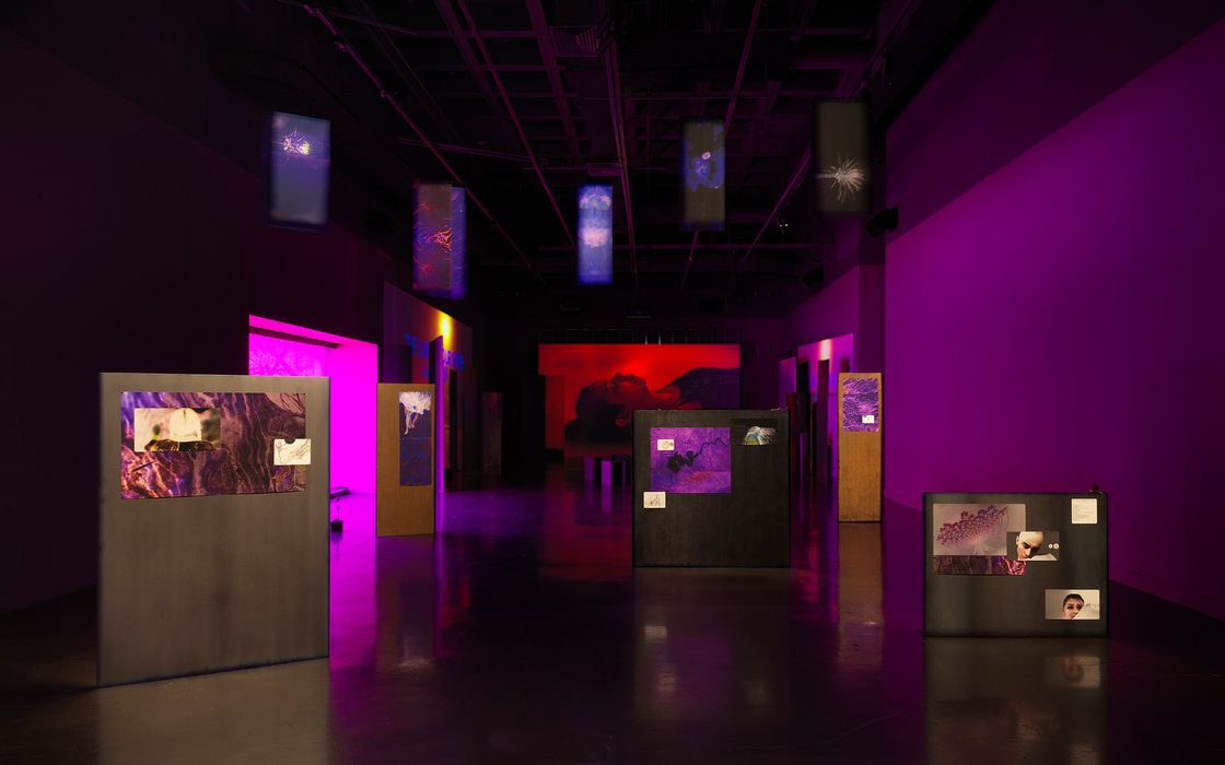 Winter 2025 Exhibition: Jan.13–Mar. 12