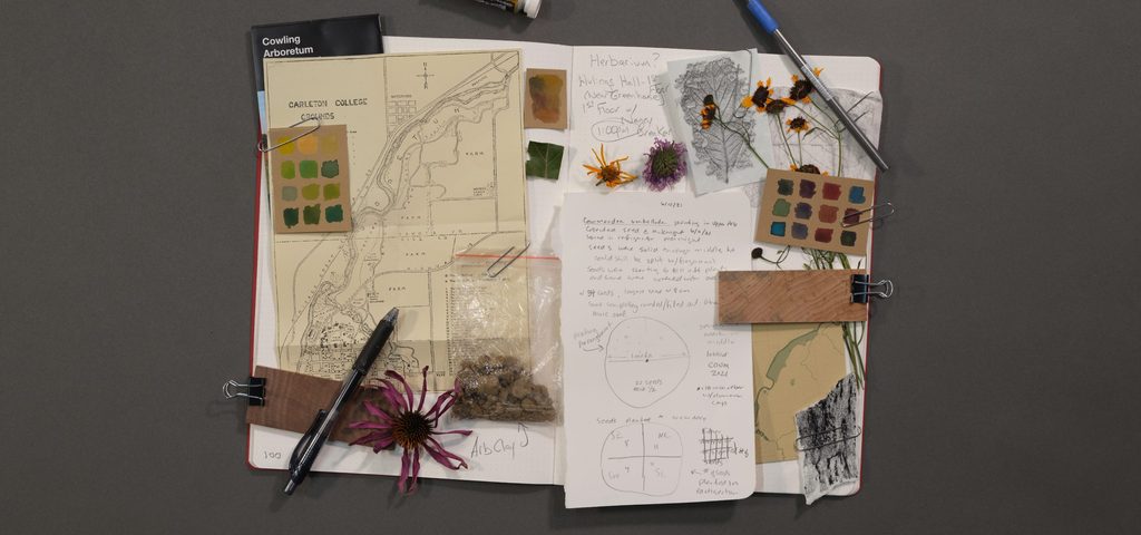 Scrapbook full of Arboretum-related maps, drawings, paintings, notes, and plant samples