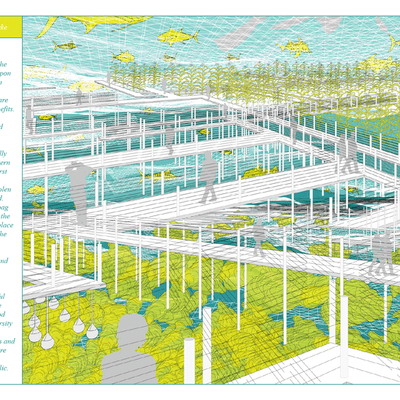 A surreal simulation in blue, green, white and gray of key elements of Companion Cultures: oyster beds, kelp seed pods, boardwalks, fish habitat, scuba divers, corn, bean, and squash. A column of text is to the left of the simulation.