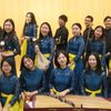 Carleton Chinese Music Ensemble Winter 2020