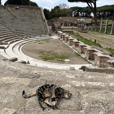 A cat sleeping on the ground in front of some Roman ruins