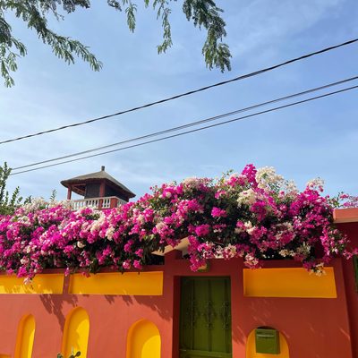 The top of a colorful building adorned with pink and white flowers