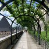 French and Francophone Studies in Paris